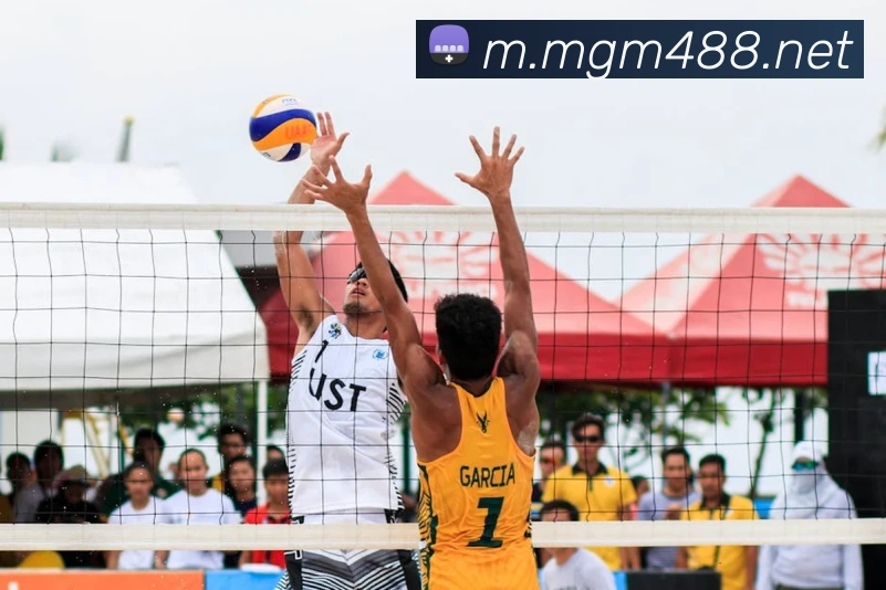 美高梅mgm服务体系